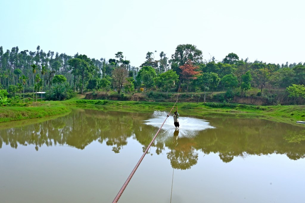 Zipline